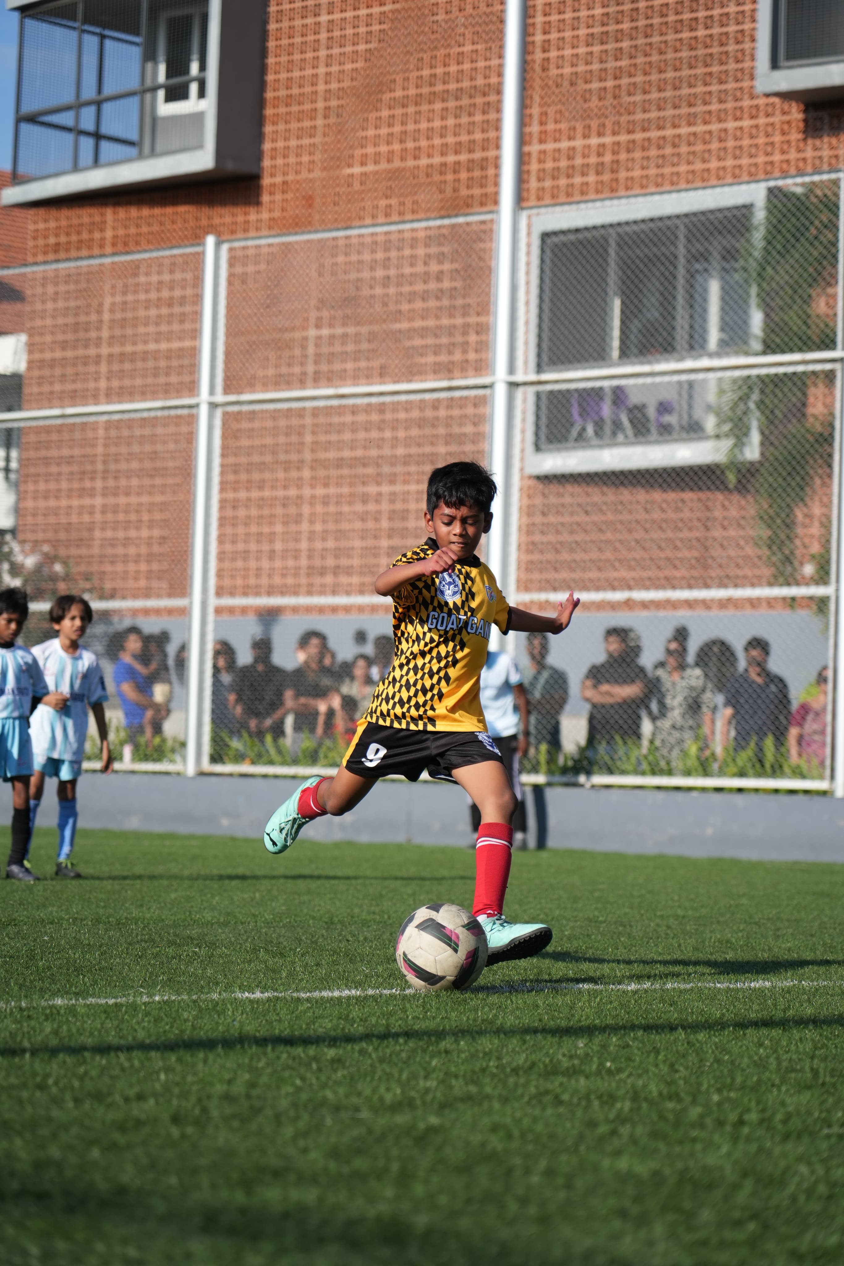 Sports & Movement